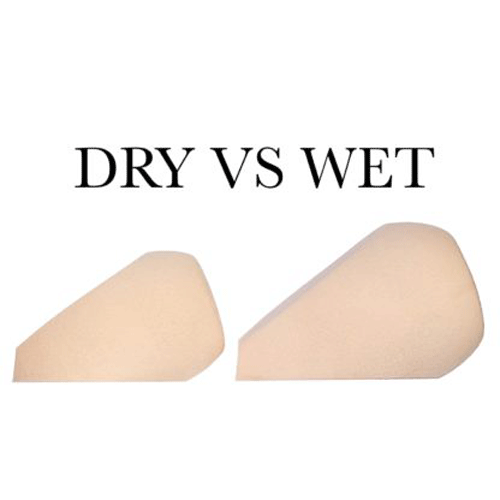 The-V-Spot_Dro-of-Finesse-Makeup-Blending-Sponge-4_Nanshy