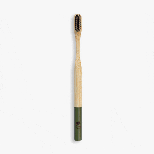 The V Spot Grums Bamboo Toothbrush Olive