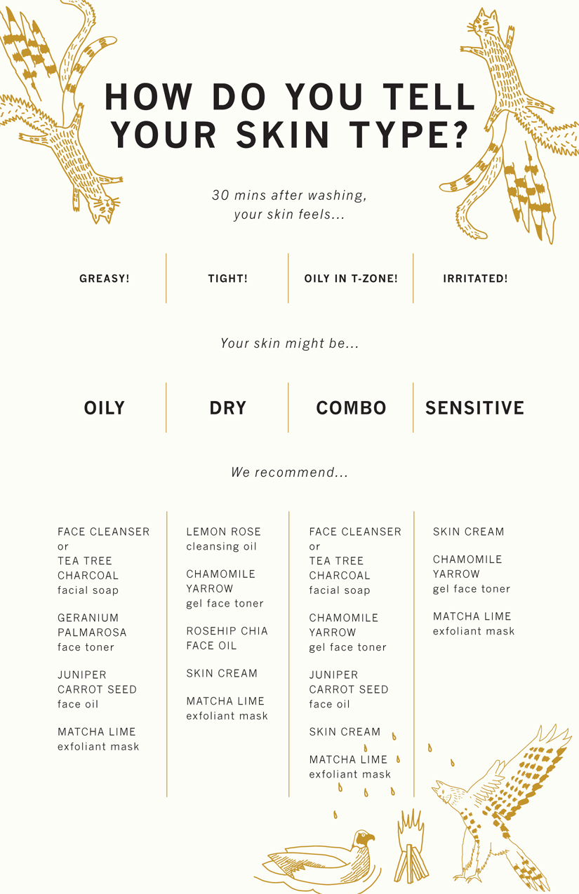 MMT Skin Type Chart